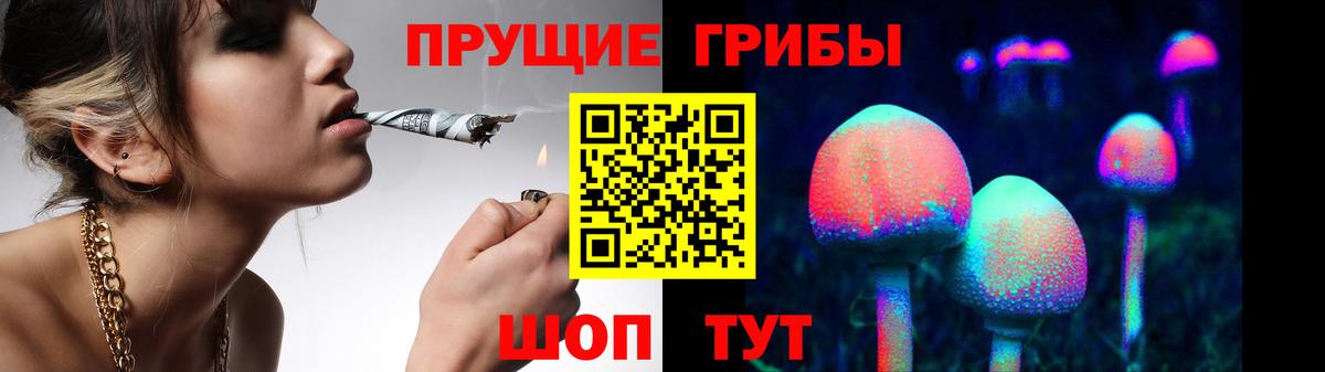 Галлюциногенные грибы прущие грибы  Вход с VPN  Псилоцибиновые грибы прущие грибы  Евпатория 